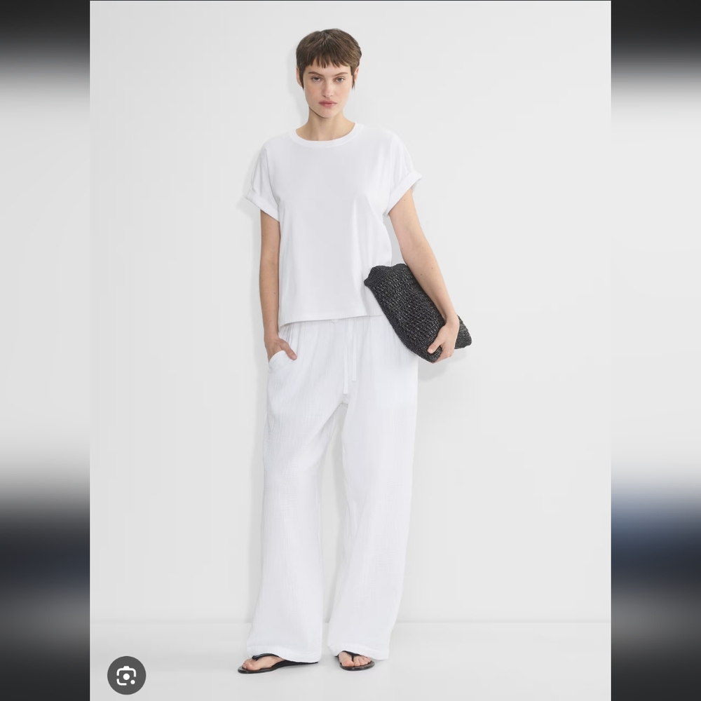 Aritzia Sail pants